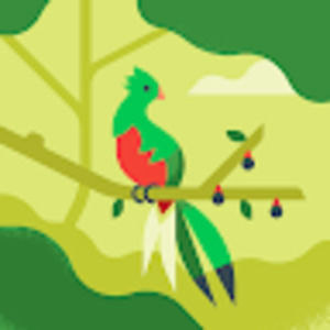 Meet your Posher, Martha